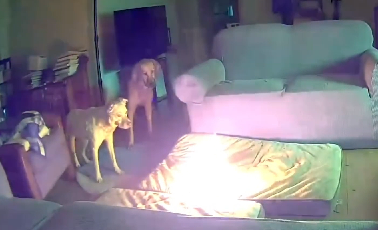 Video of Dog Chewing lithium-ion Battery Sparks Oklahoma House on Fire