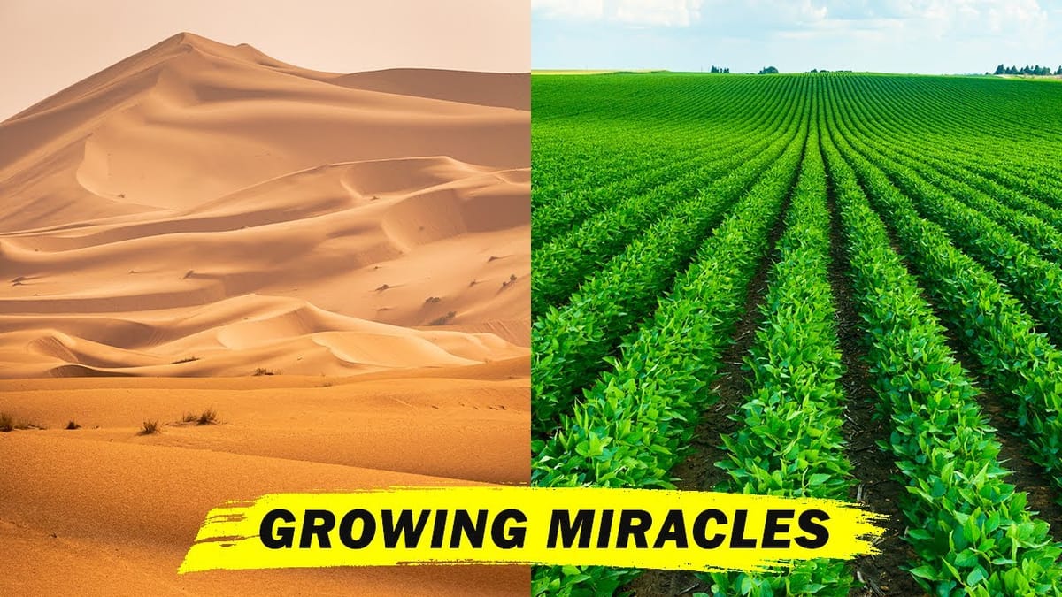 Revolutionizing Desert Farming - Israel's Innovative Agricultural Success