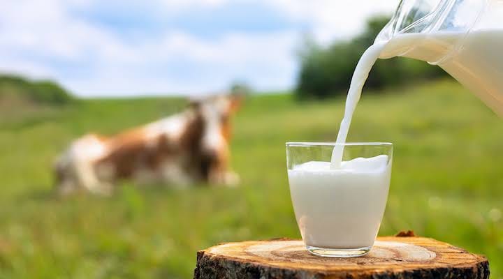 Mastering Milk Production - Top Breeds of Cows and Buffaloes