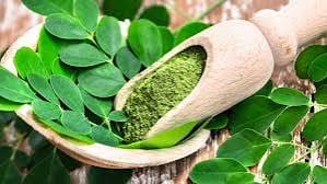 Unlocking the Power of Moringa - Delicious and Nutritious Recipe Ideas