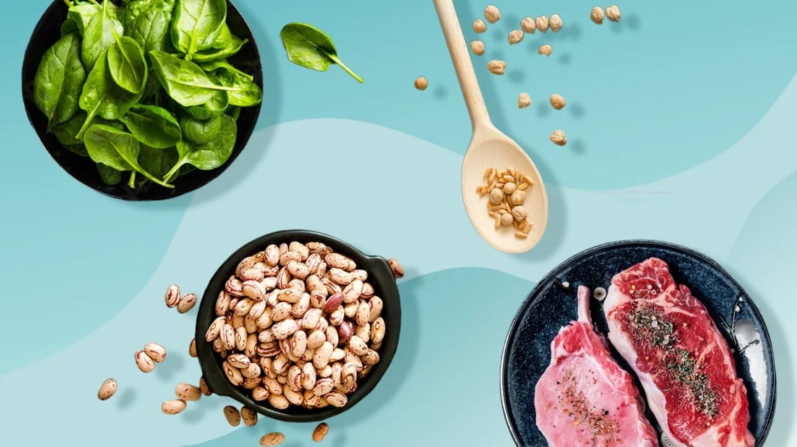 Animal Protein vs Plant Protein for Muscle Growth