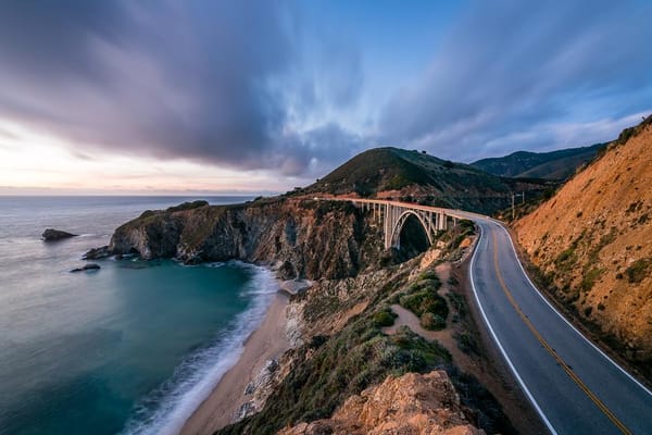 California Dreaming - Essential Insights