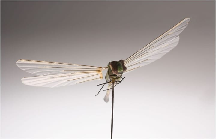 Dragonfly Drones Take Flight - Revolutionizing Entertainment and Delivery