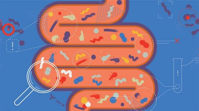 Can Alcohol Kill Bacteria in the Body? Separating Fact From Fiction