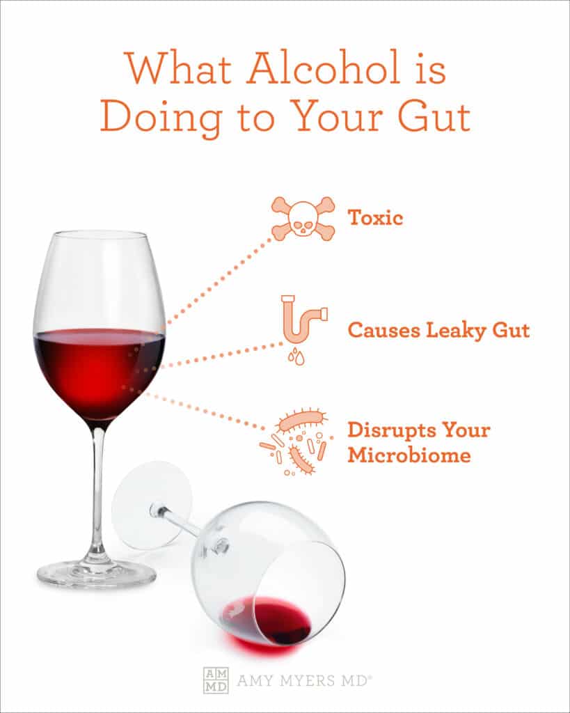 Alcohol's Impact on Germs and Gut Health - Separating Fact from Fiction