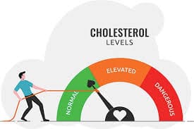 How Carbs Impact Cholesterol Levels