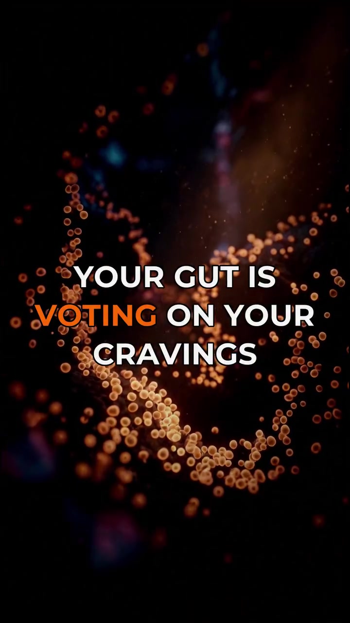 Gut Microbiome Influences Cravings: Stanford Study