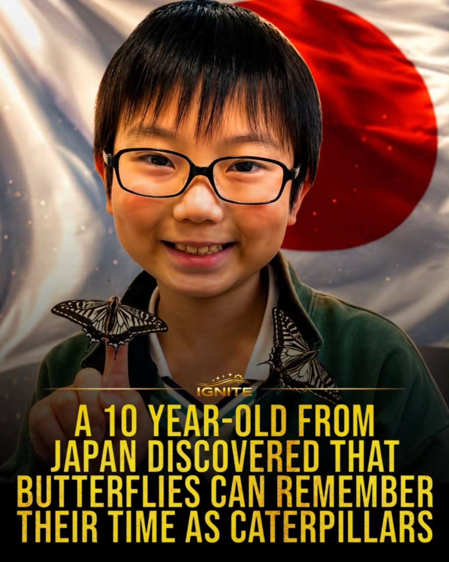 How a 10-Year-Old's Butterfly Discovery Amazed Scientists