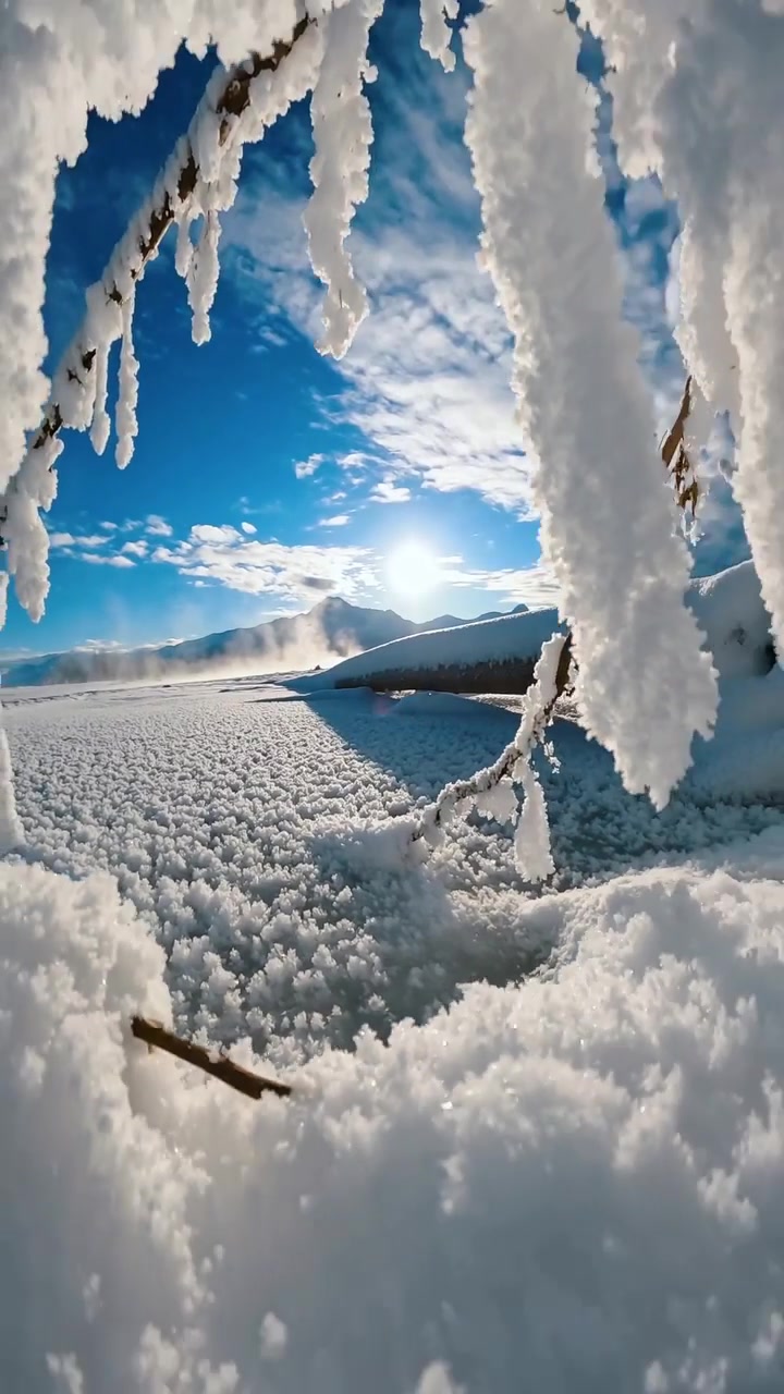 Alaska's Winter Landscape by Johnderting
