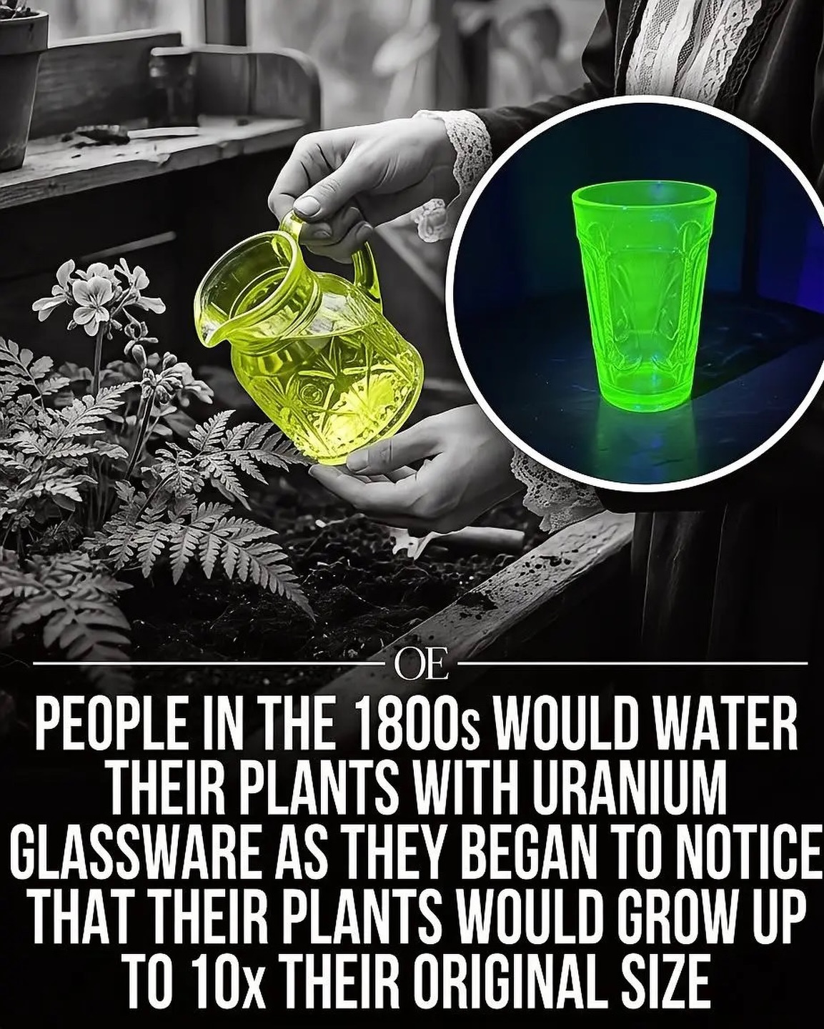 Uranium Glassware and Plant Growth in the 1800s