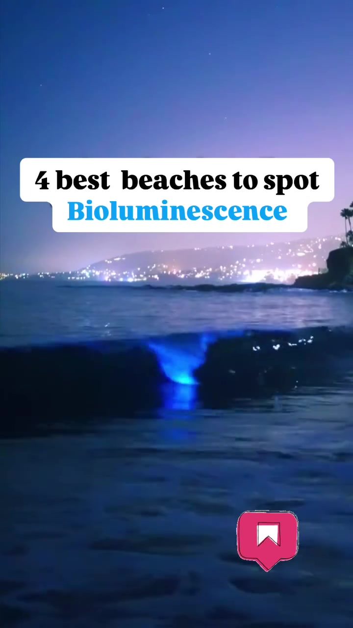 Top Beaches to See Nature's Bioluminescent Glow