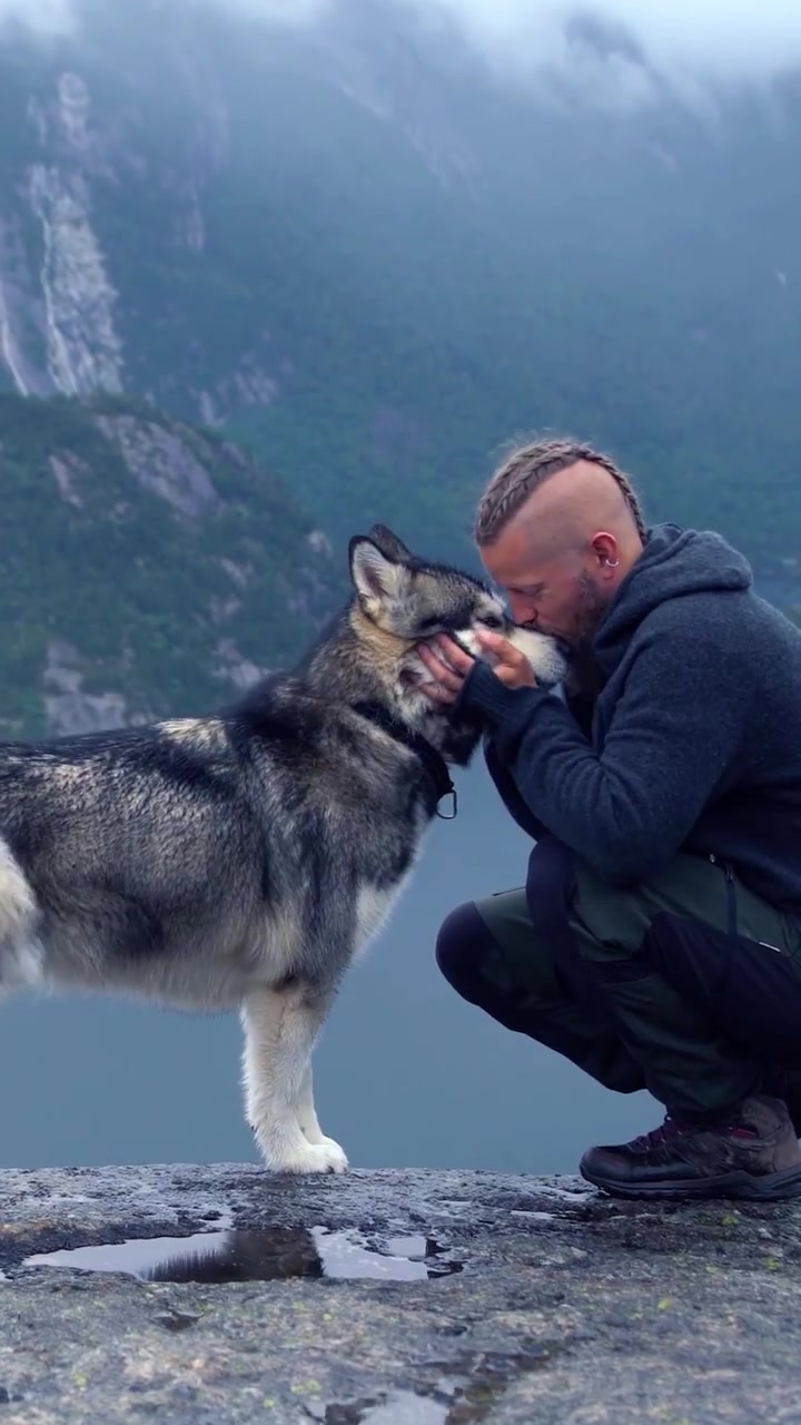Man and Dog Bonding in Lysefjorden Norway