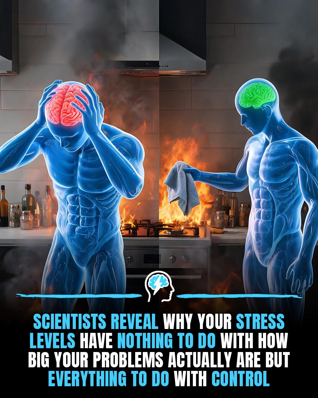 The Science Behind Stress: Why Control Matters More Than You Think