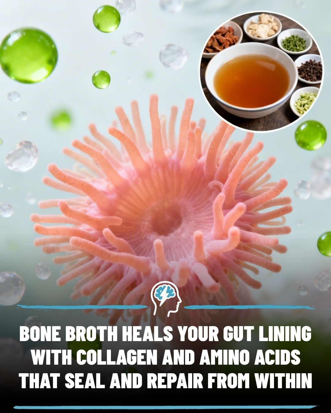 Discover the Gut-Repairing Power of Bone Broth