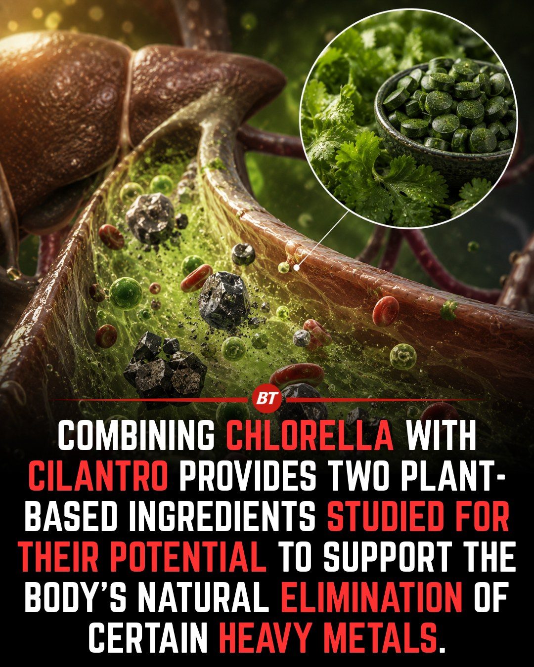 ### The Power of Chlorella and Cilantro for Natural Detox