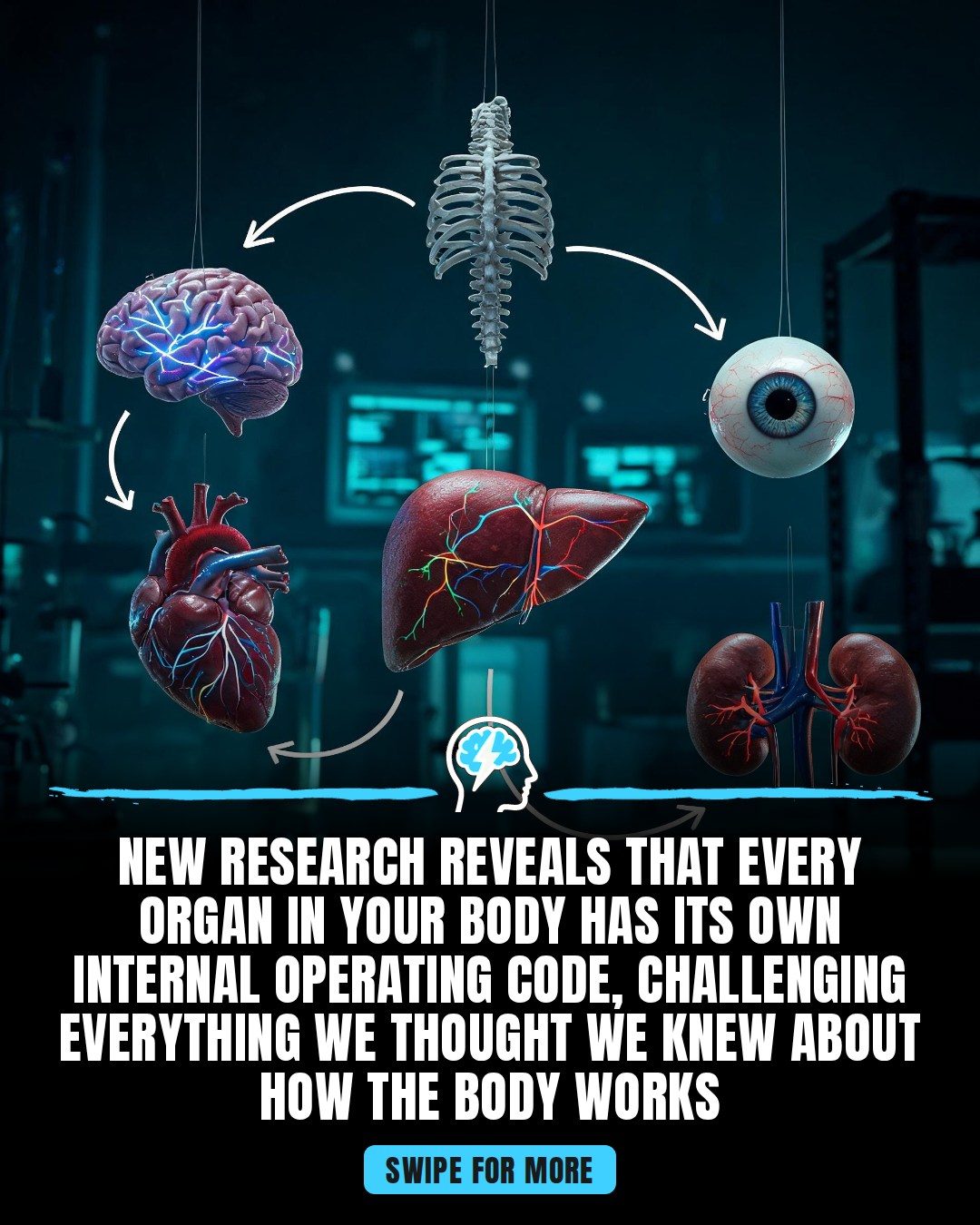 Understanding Your Body's Organ Systems.