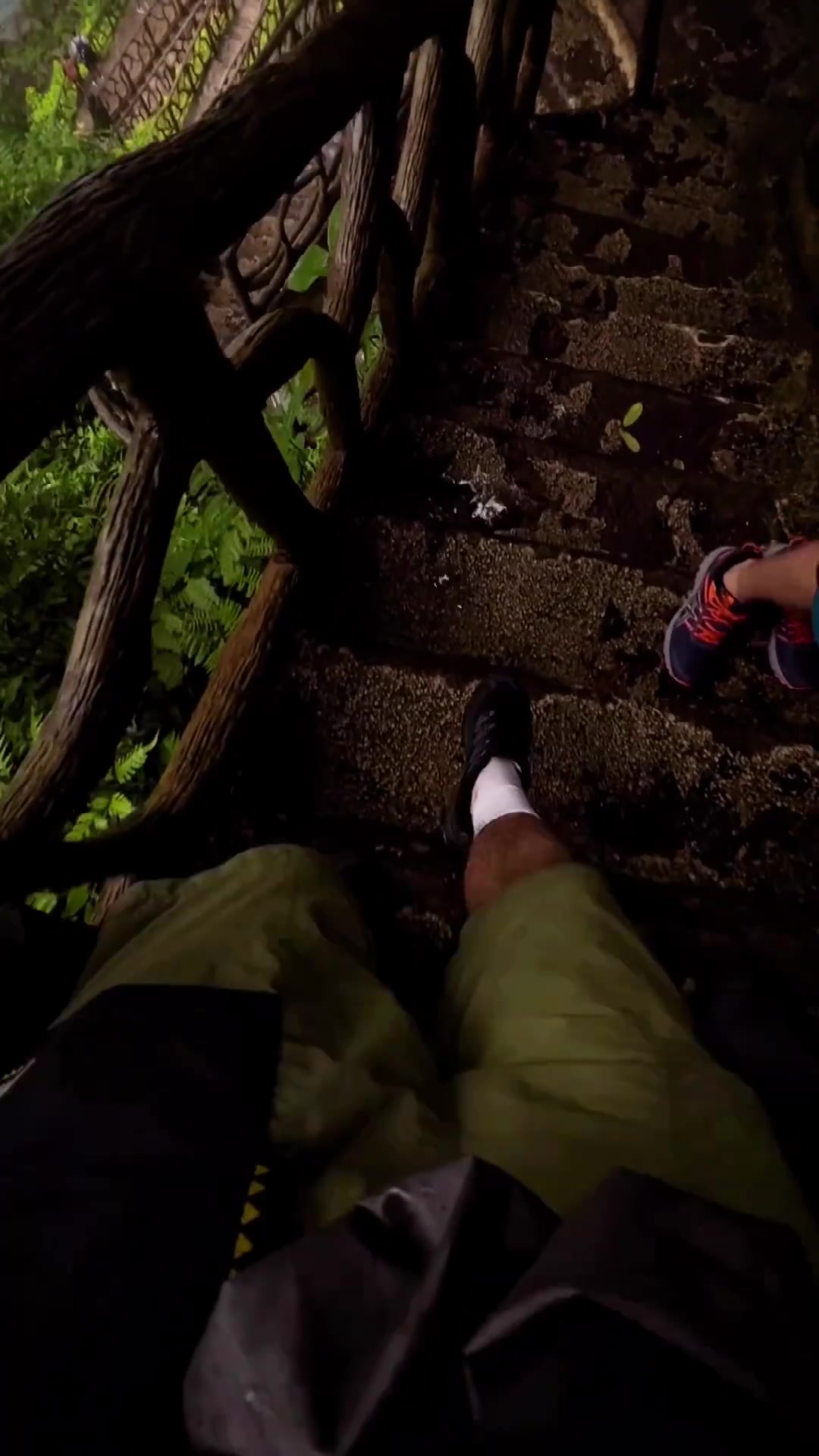 Hiking to a Tropical Waterfall