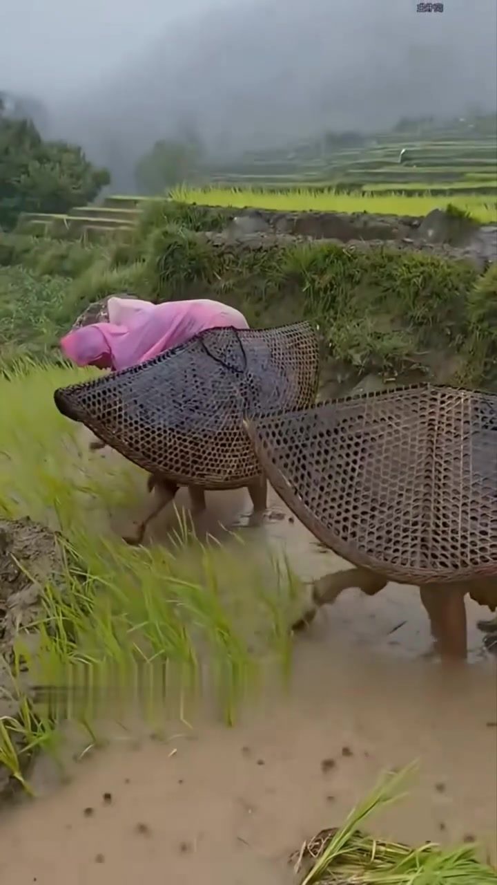 How Nepalese Farmers Stay Dry with Traditional Rain Hats