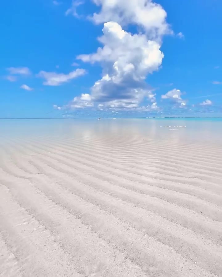 Yoron Island Japan's Pristine Beaches and Marine Life