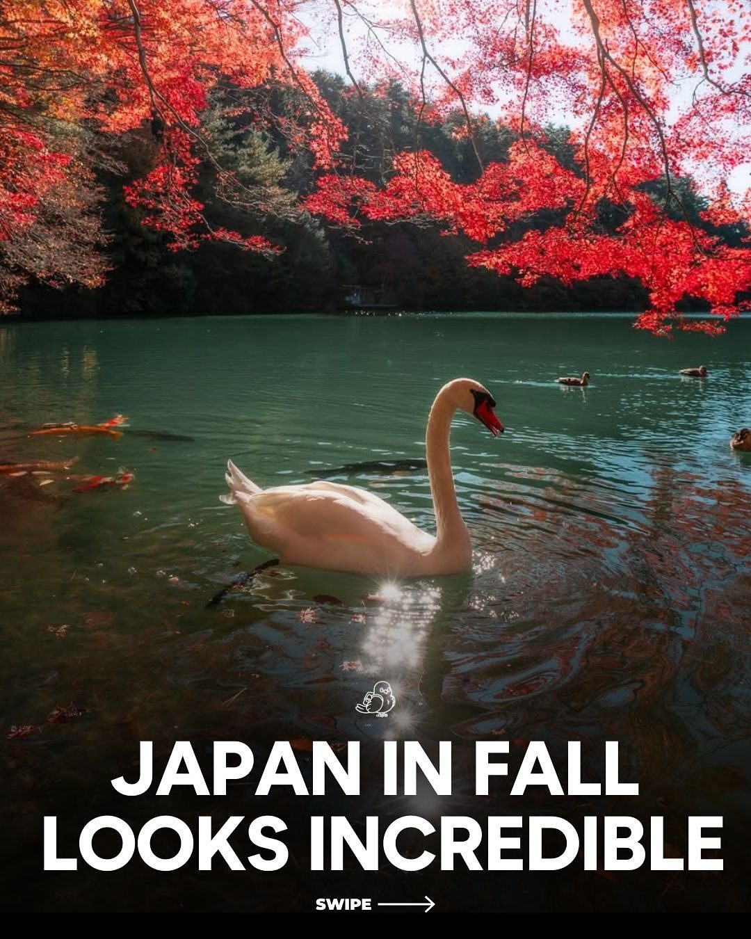 **Japan's Fall Foliage: A Traveler's Guide to Momiji-Gari**