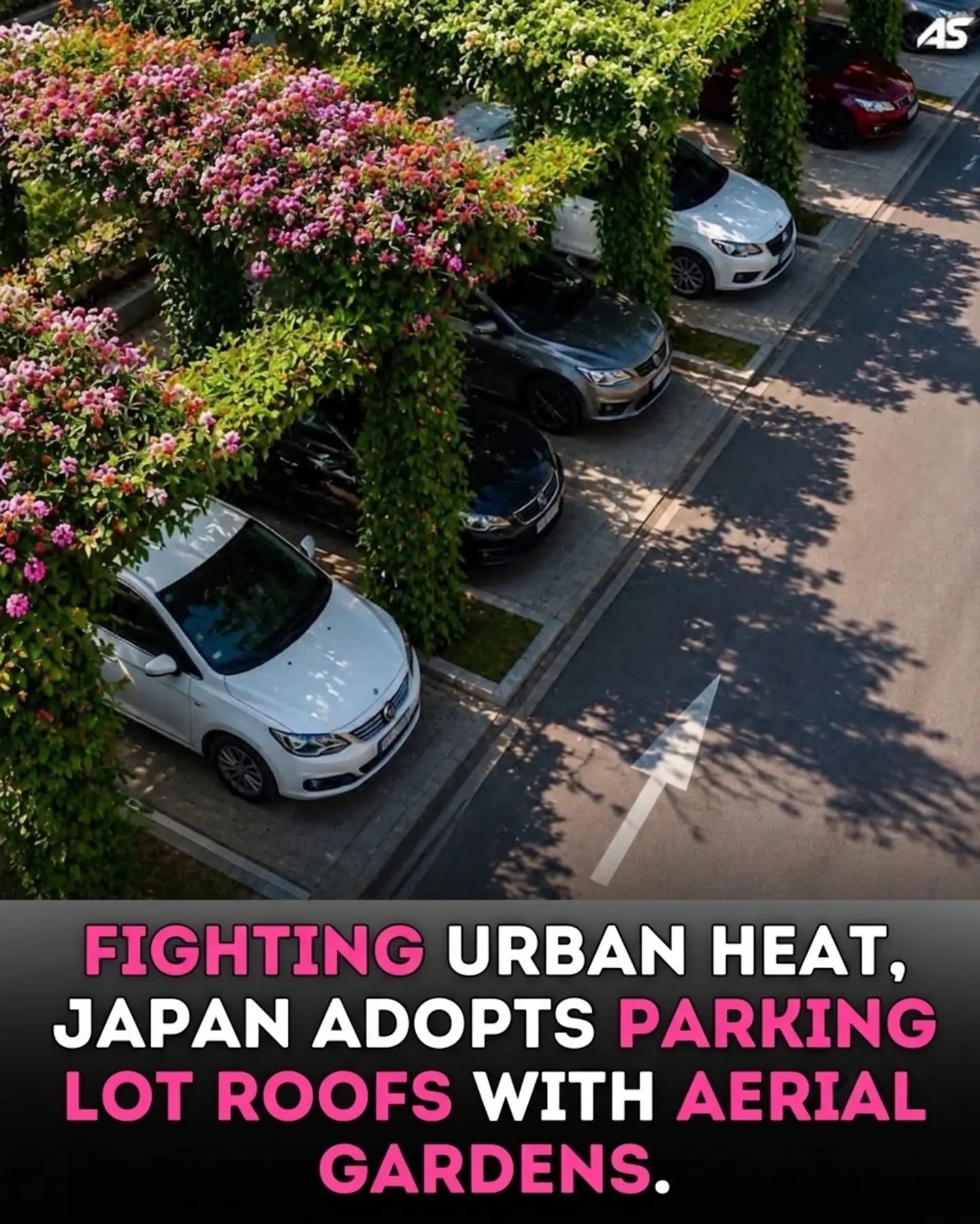 How Japan is Combating Urban Heat with Green Parking Lot Roofs