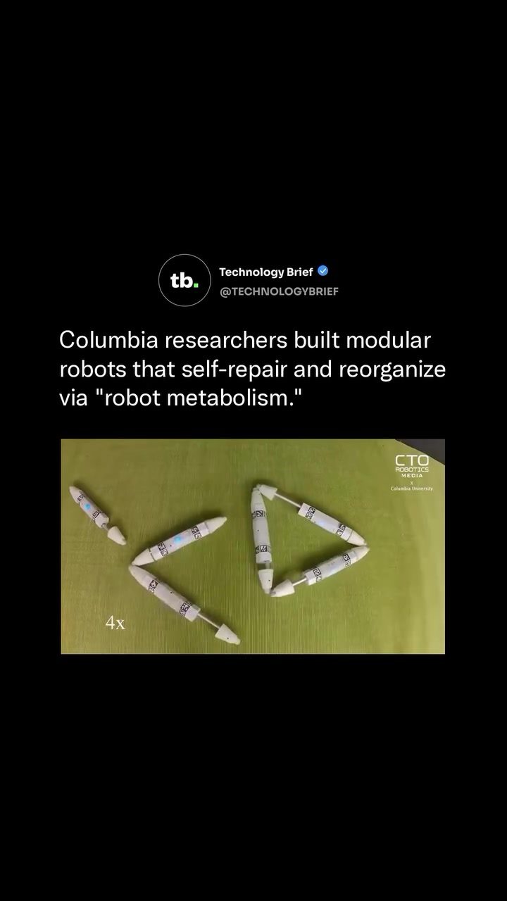 Modular Robots at Columbia: Self-Repair & Reorganization