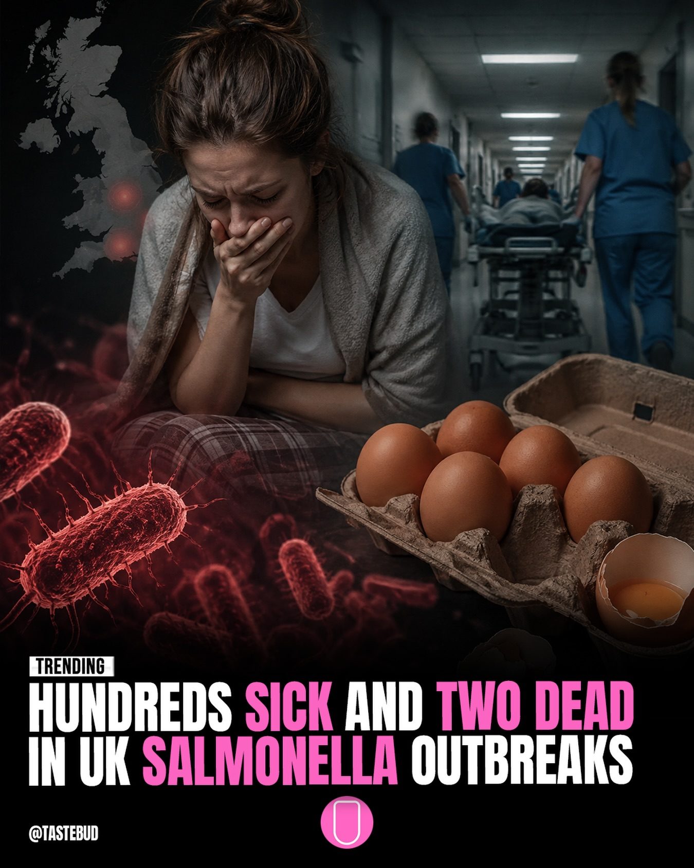 UK Salmonella Outbreak: Hundreds Sick, Two Dead