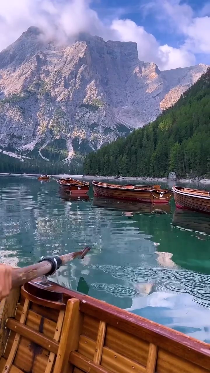 Mountain Landscapes: Lake, Forests, and Meadows