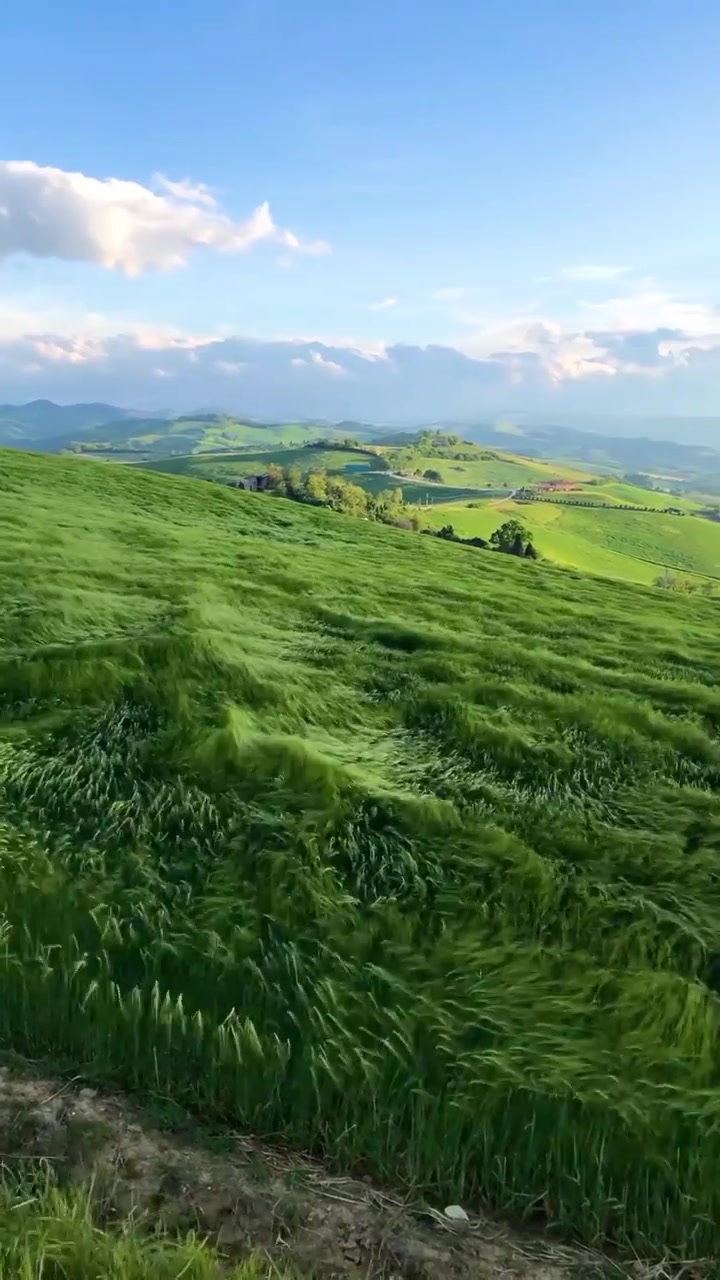 Bologna Italy's Rolling Hills and Natural Landscapes