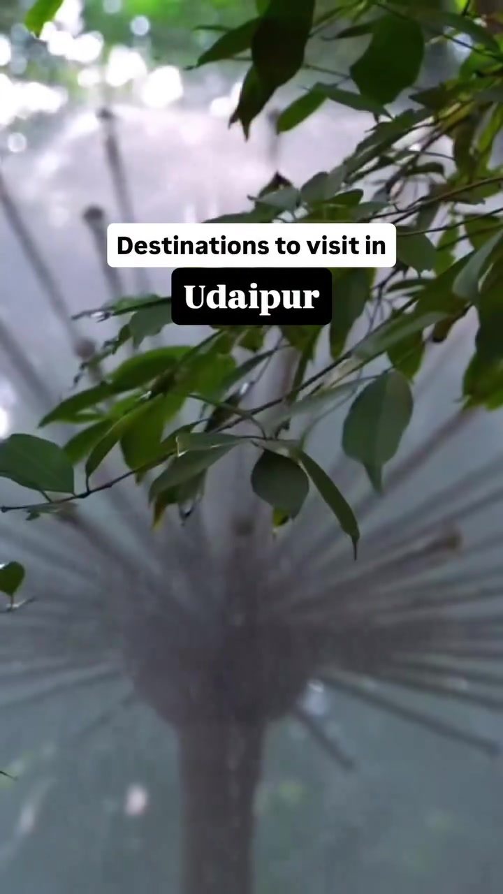 Free Entry Spots in Udaipur
