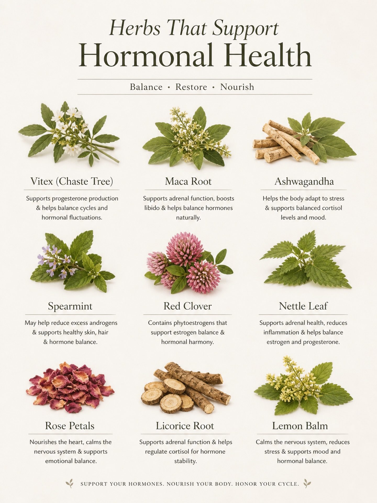 Herbs for Balancing Hormones and Enhancing Health