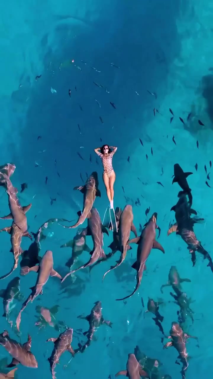Woman Calmly Surrounded by Sharks in Turquoise Water