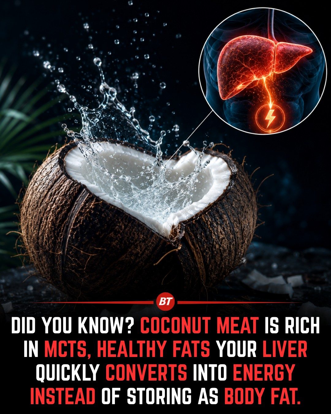 Coconut MCTs: Healthy Fats for Energy