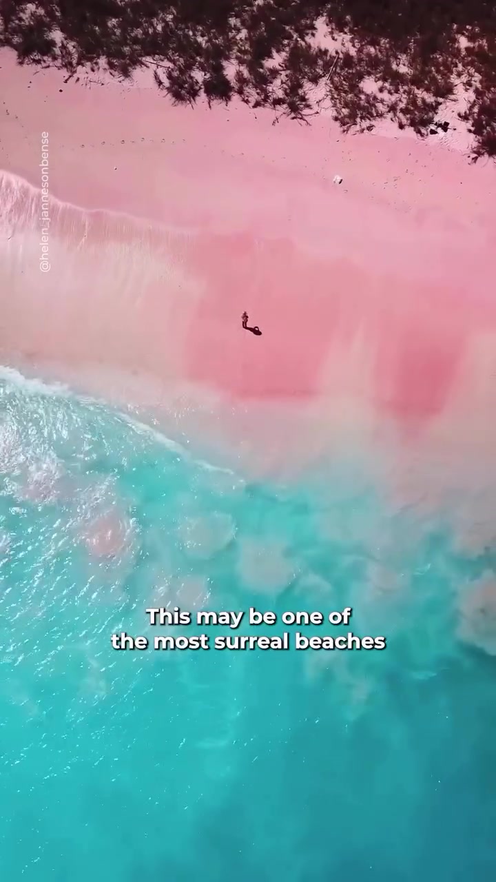 Pink Beach Indonesia: Unique Coral Sand Beach