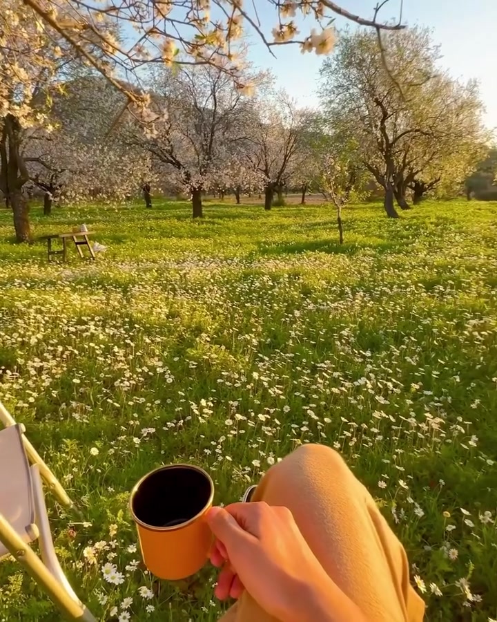 Relaxing in a Blooming Orchard with a Mug