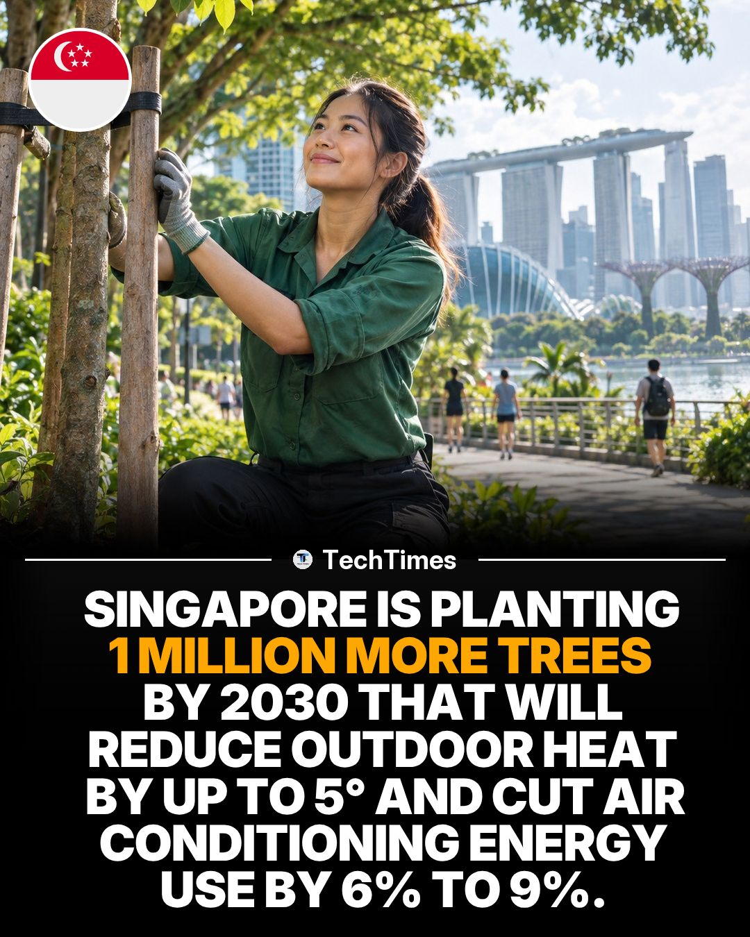 Singapore's 2030 Tree Planting Initiative: Goals and Benefits
