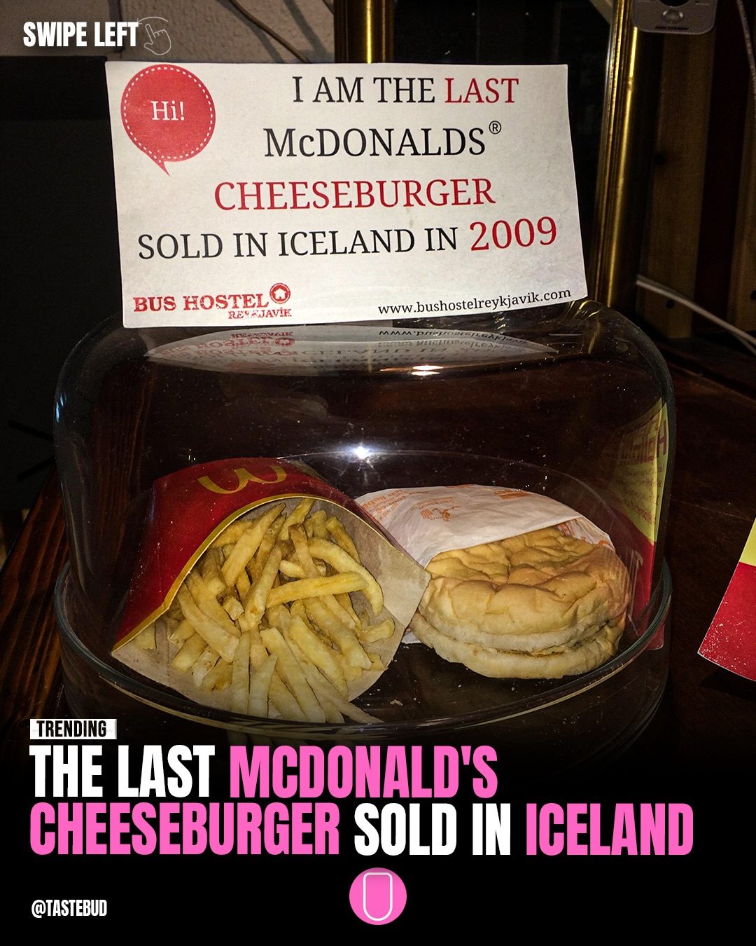 McDonald's Last Iceland Burger: A Decade-Long Preserved Mystery
