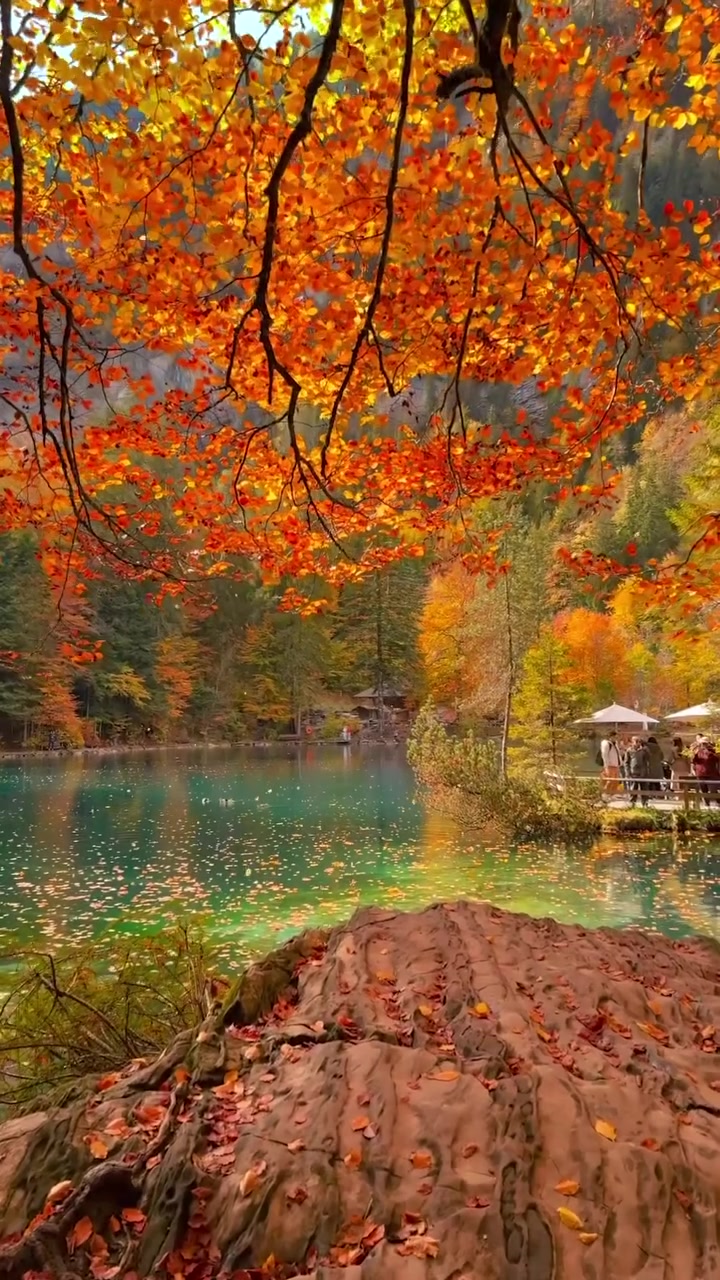 Blausee Switzerland Autumn Lake Scenery