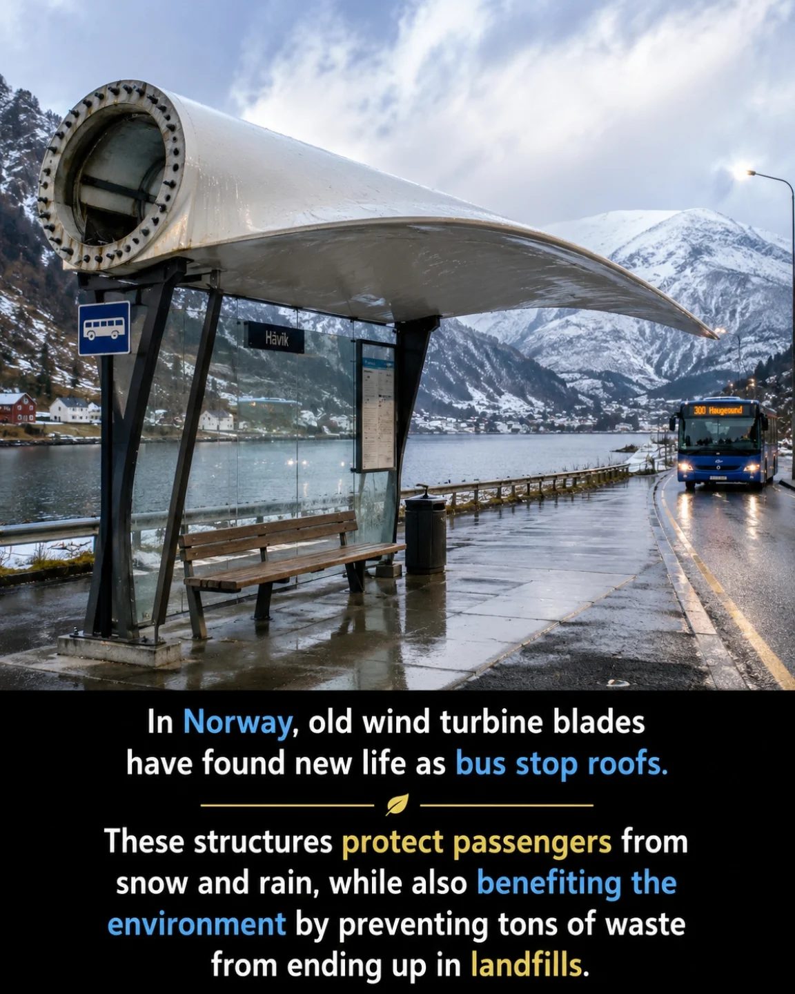Innovative Repurposing: Wind Turbine Blades as Bus Stop Roofs