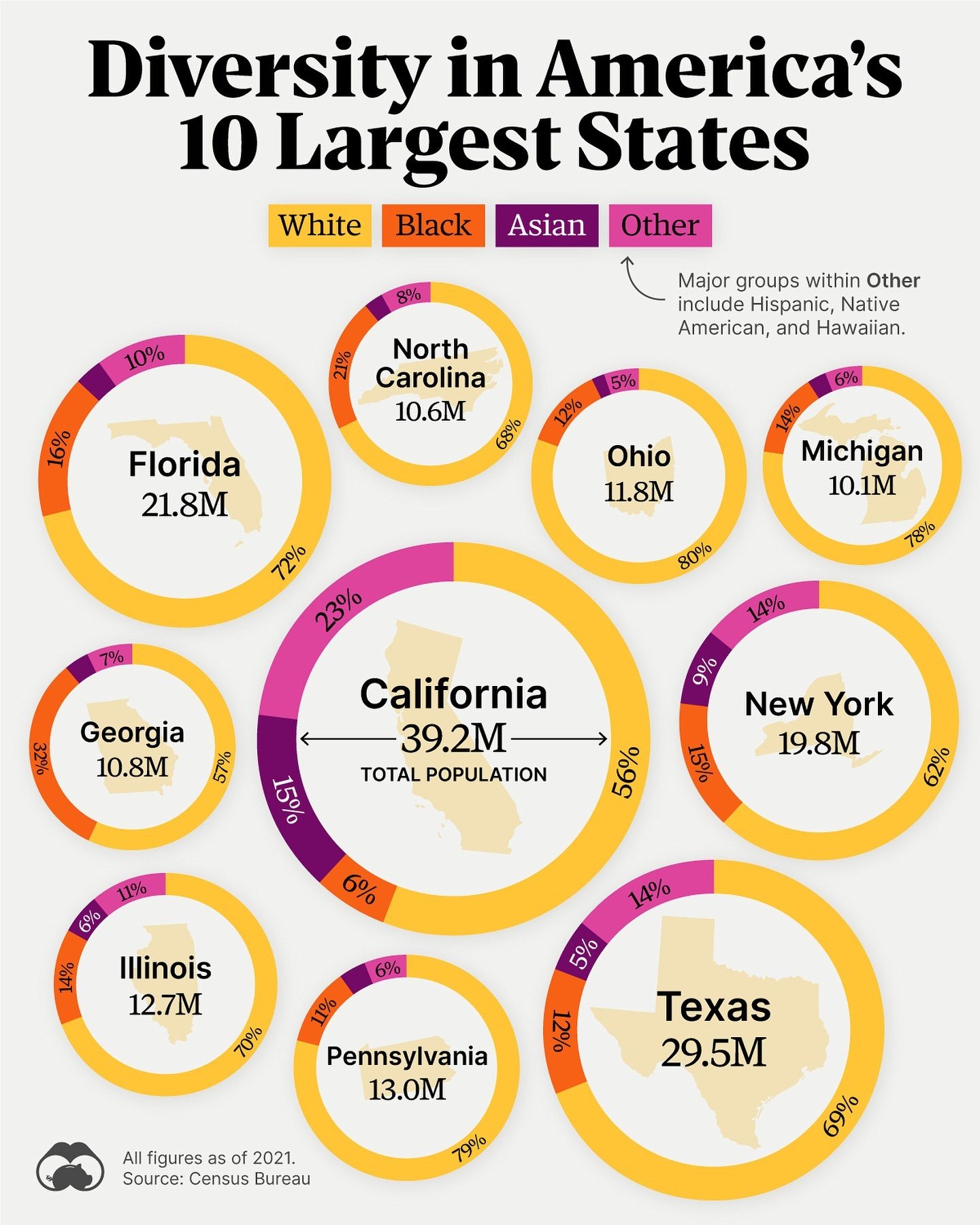 Demographic Diversity in America's 10 Largest States