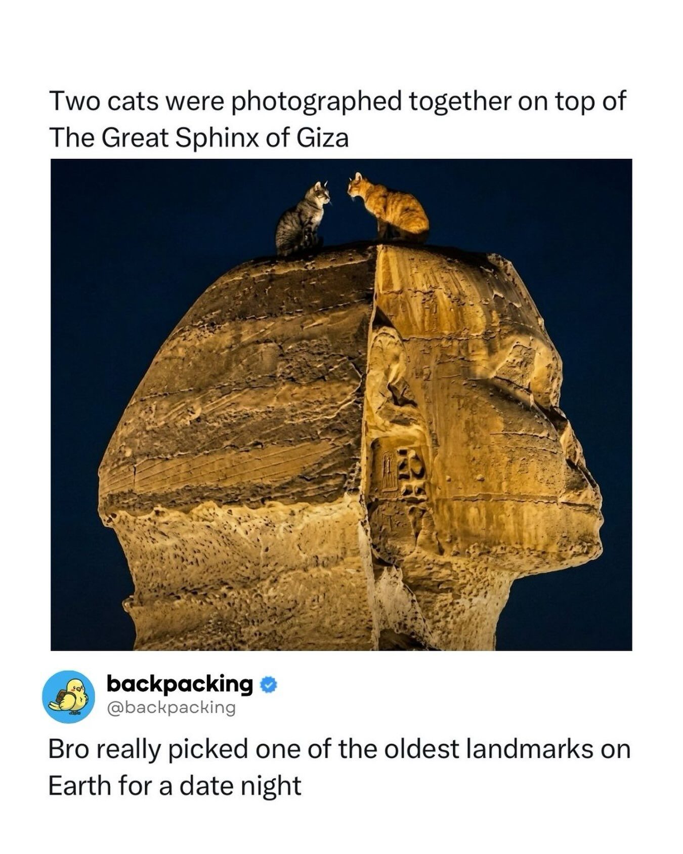 Two Cats on the Sphinx: A Humorous Twist on Ancient Giza