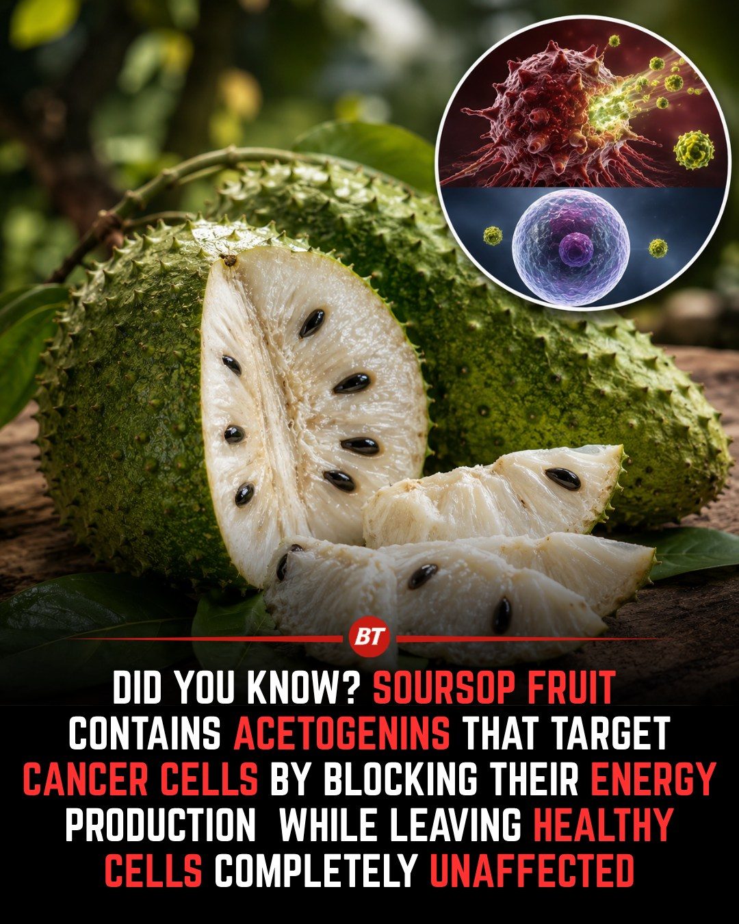 Soursop's Cancer-Fighting Compounds: What You Need to Know