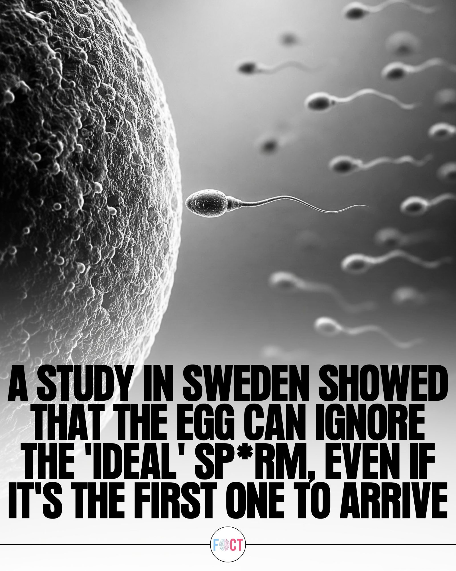 New Study Shines Light on Egg's Selective Role in Fertilization
