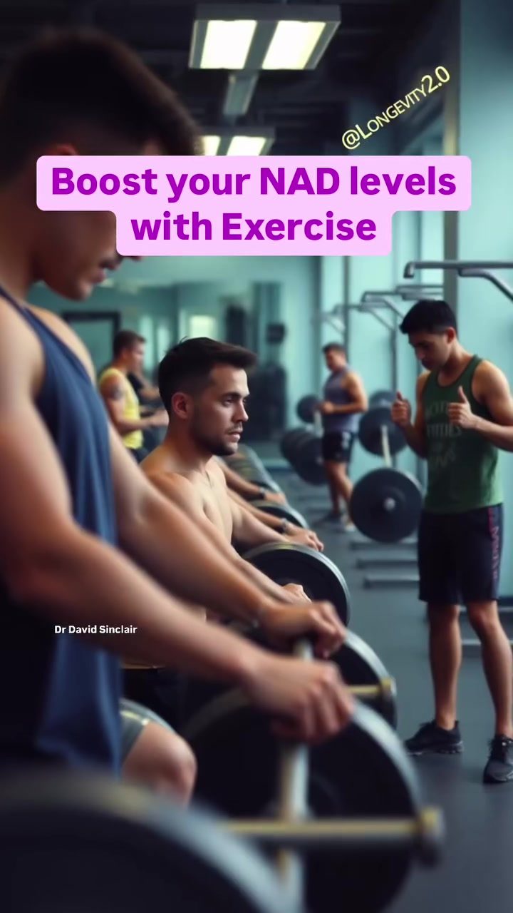 Exercising for Better NAD Levels: Boost Your Longevity