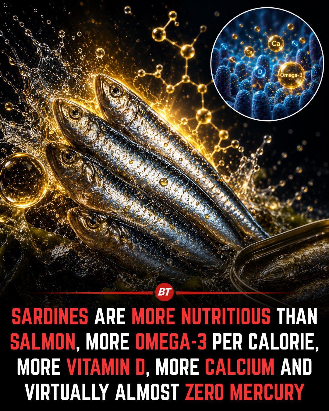 Sardines vs. Salmon: Why the Tiny Fish Packs Big Nutrition