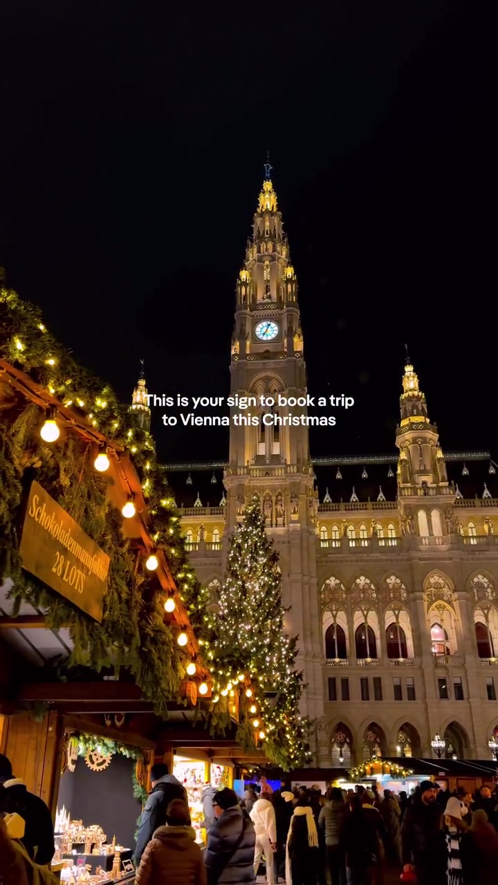 Vienna Christmas Market: A Festive Travel Destination