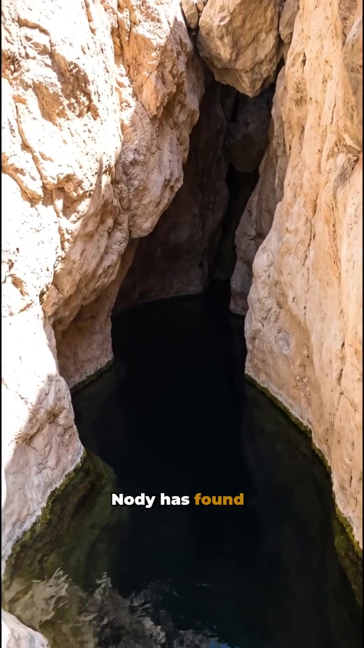 Devil's Hole Pupfish Survival in Nevada Cave