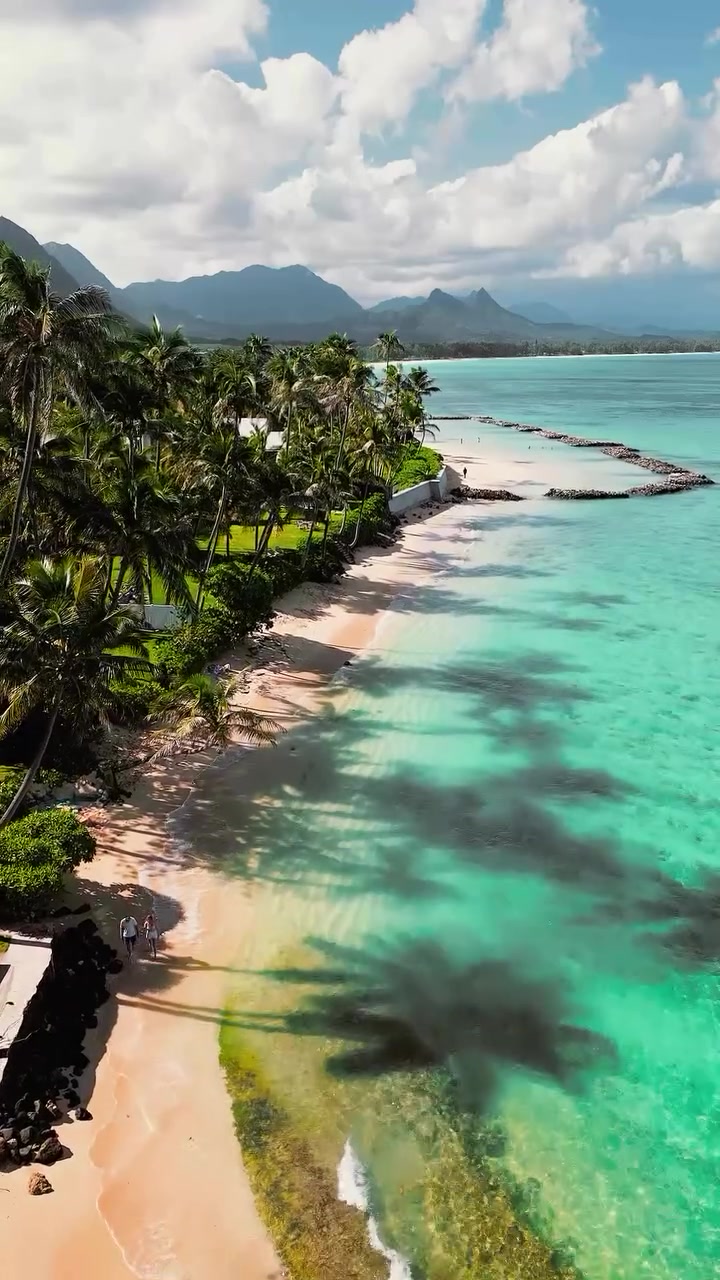 Tropical Beach with Pink Sand and Turquoise Water