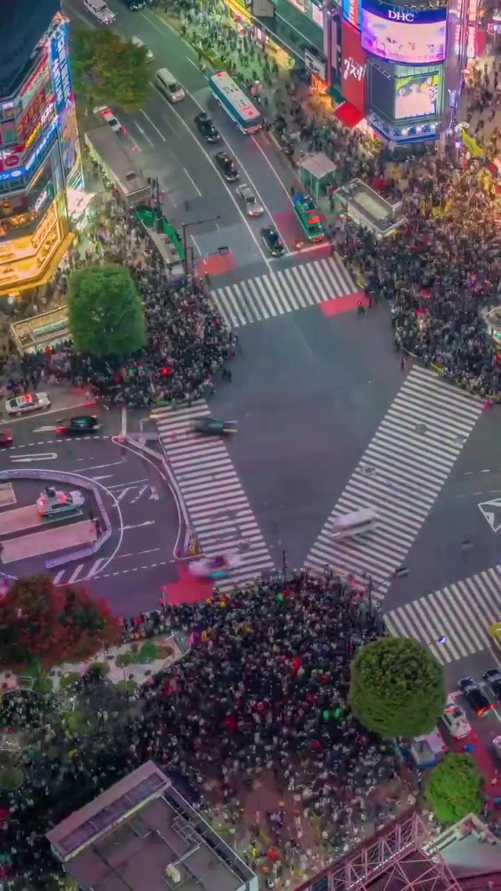 Nighttime City Intersection Traffic in Aerial View