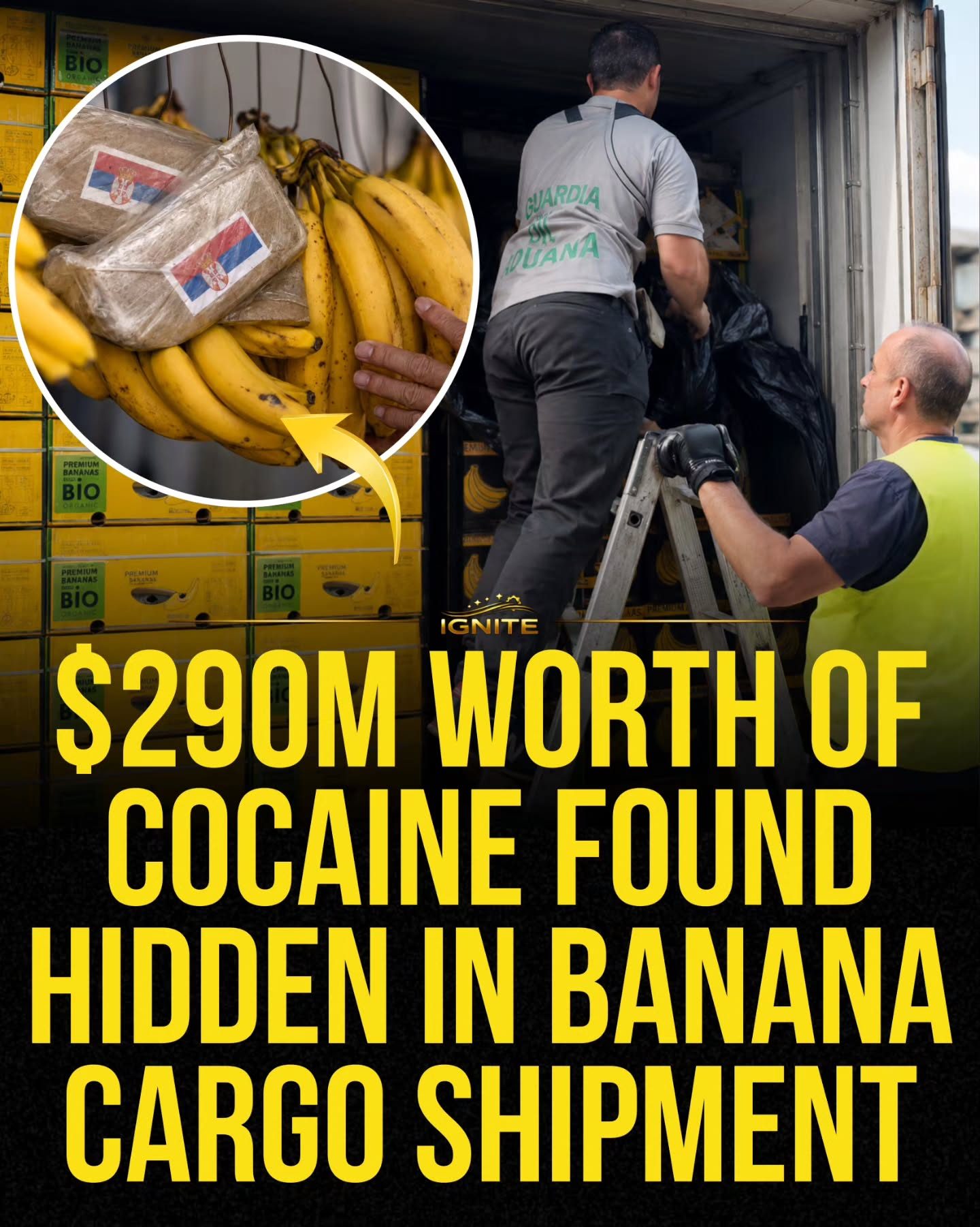Drug Bust: $290M Cocaine Found Hidden in Banana Cargo